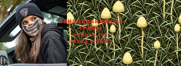ALPHA-PVP Алзамай
