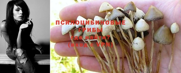 метамфетамин Данков