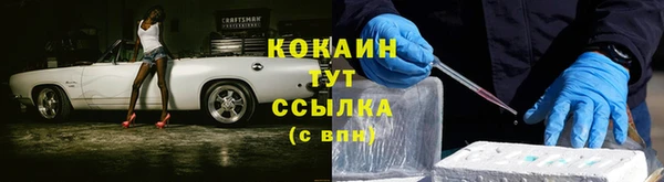 ешки Алексин